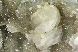 Quartz Crystals With Calcite On Wood Base - Uruguay #101455-1